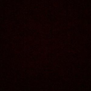 Meet your Posher, Michaela